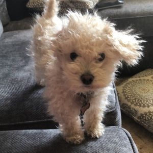 Meet your Posher, Staci